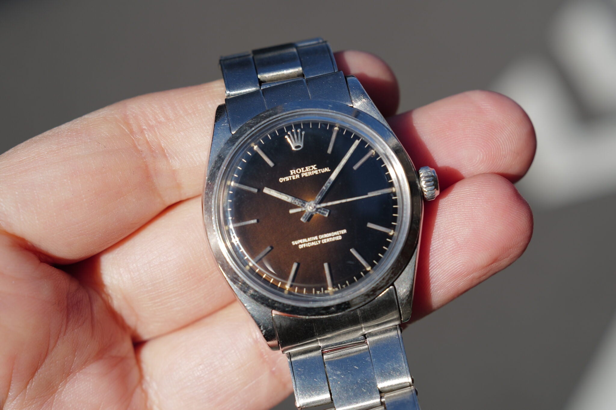 Ref.1002 Tropical