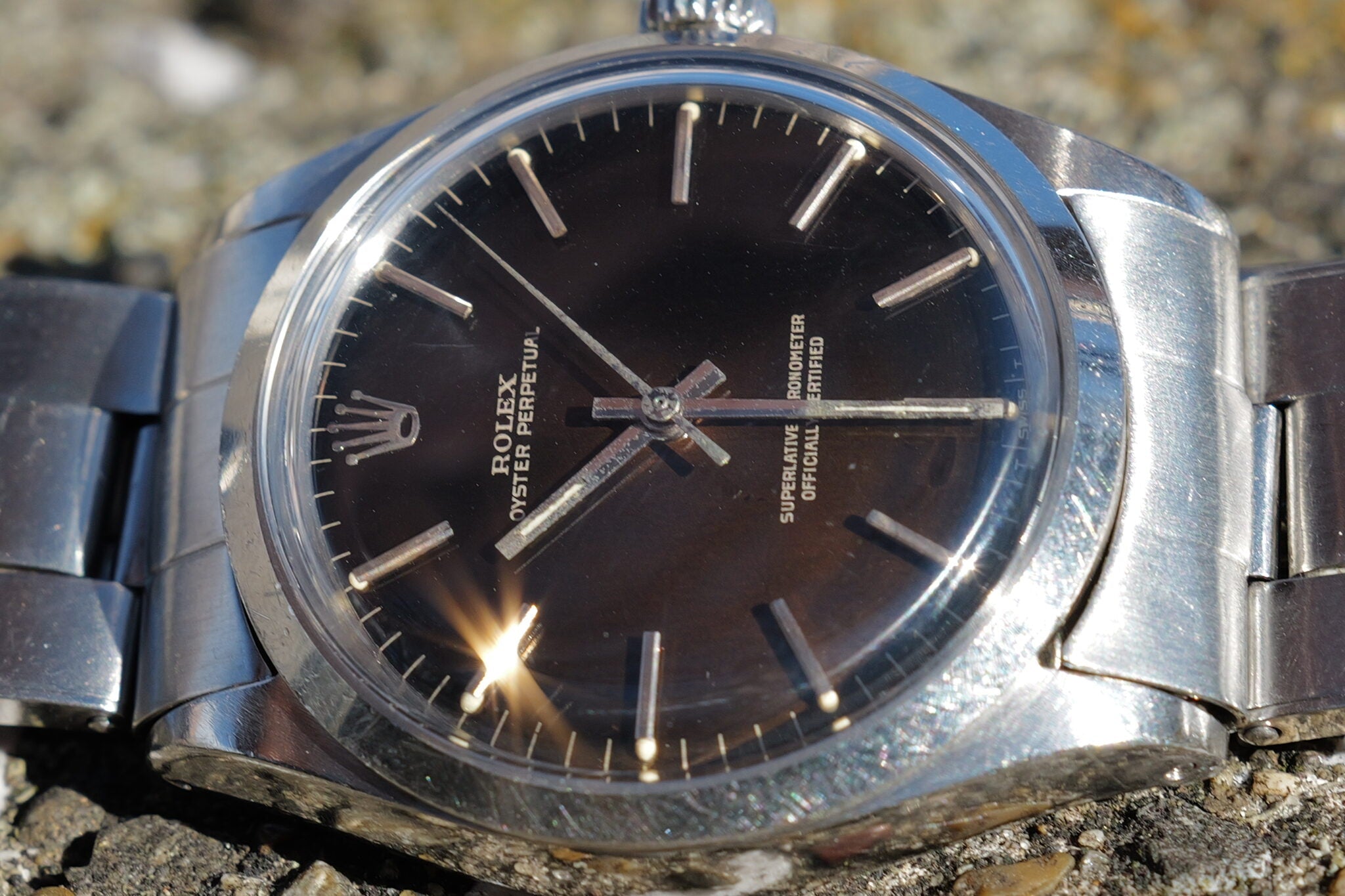 Ref.1002 Tropical