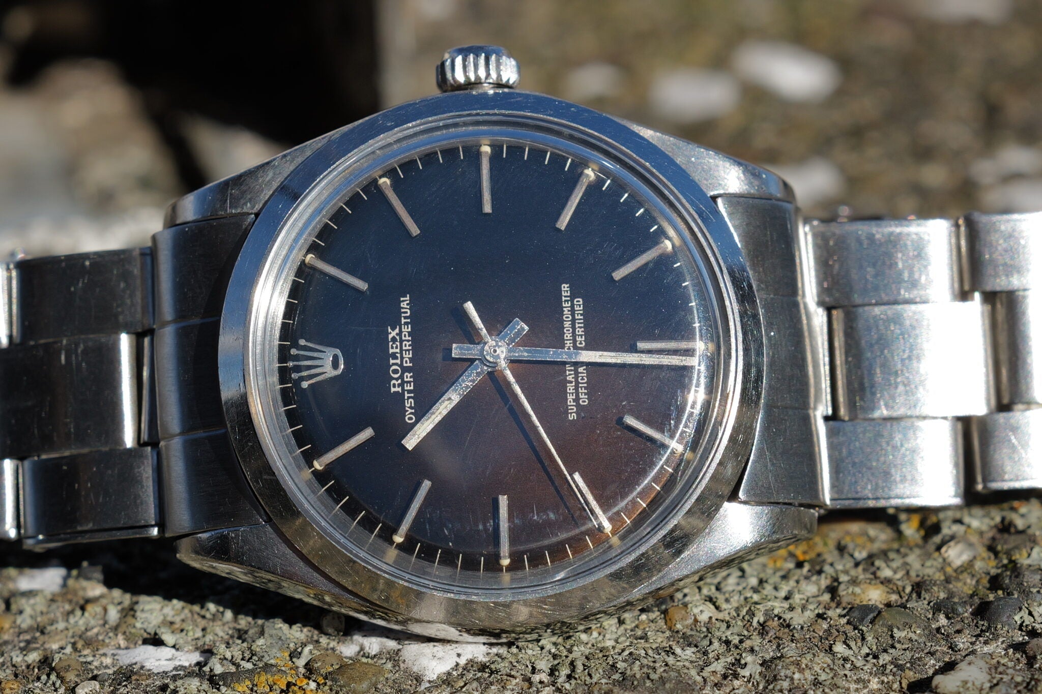 Ref.1002 Tropical