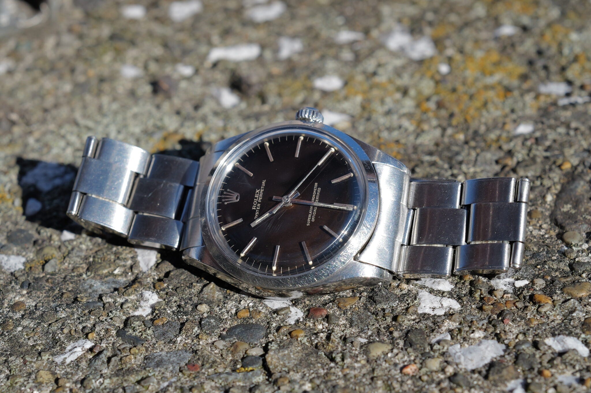 Ref.1002 Tropical