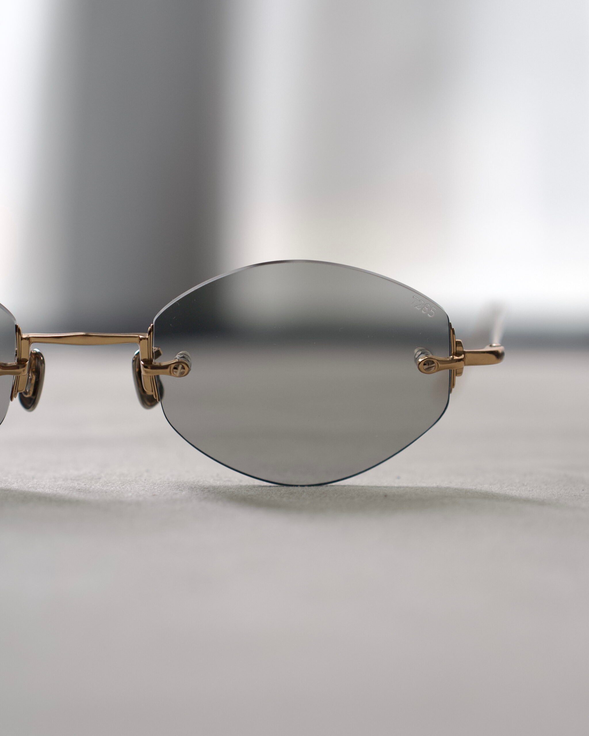 1196-1 Sunglasses