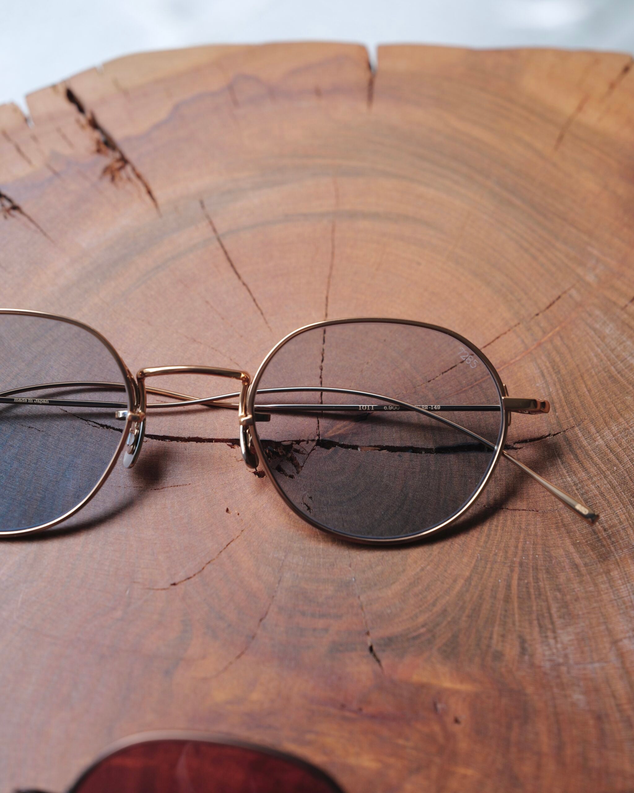 1011 Sunglasses